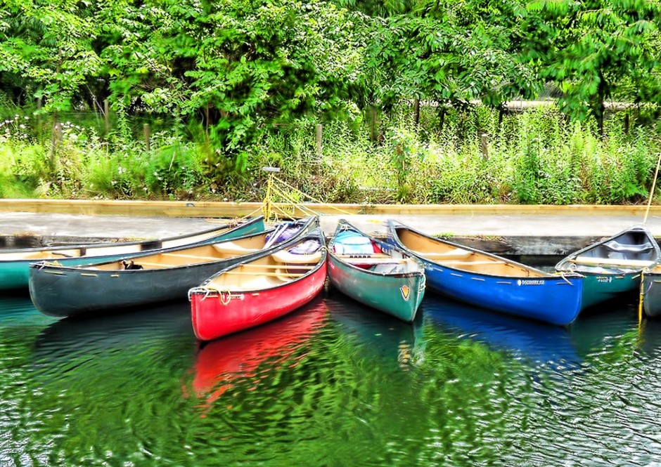 A Fertő-Hanság Nemzeti Park programjai
