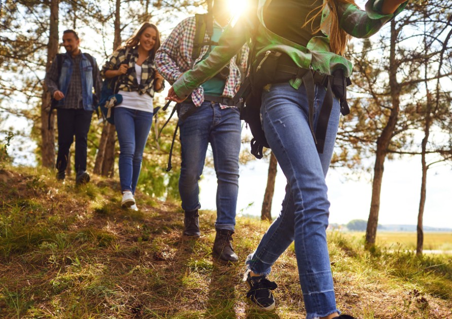 Erdei túrák, különleges városi séták, kerékpáros programok