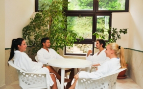 Hotel Lövér***<sup>superior</sup> Sopron